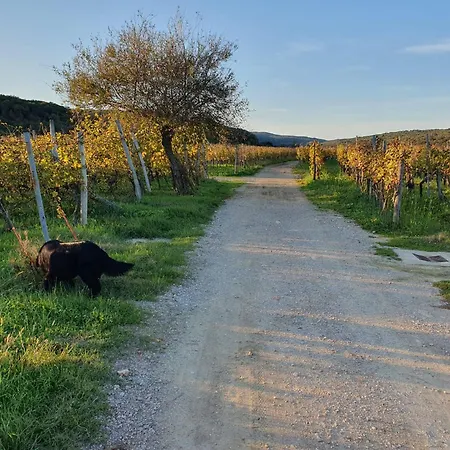 Sandy - Krk - Villa Risika