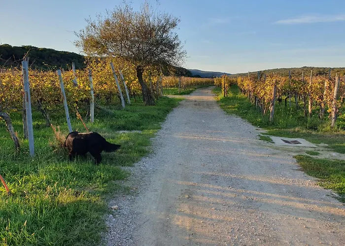 Sandy - Krk - Villa Risika